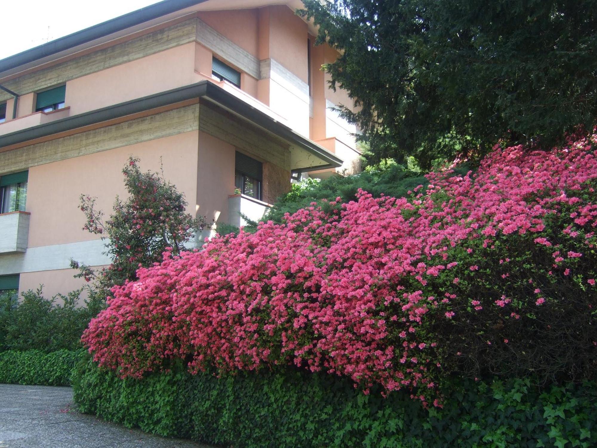 Hotel Canturio Exterior photo